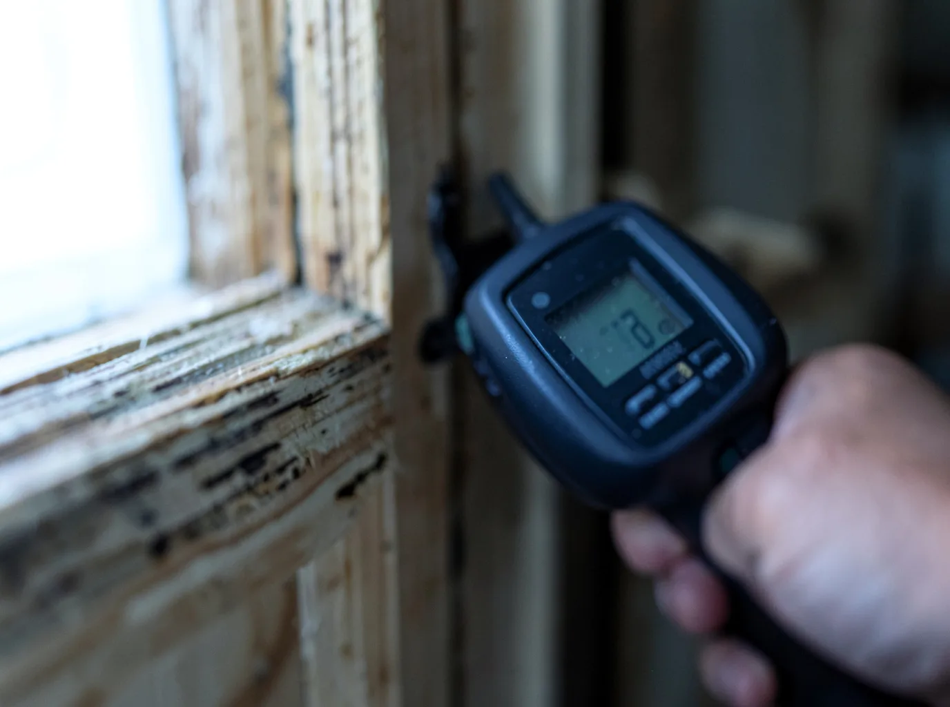Moisture Inspection And Documentation in Belmont, MI